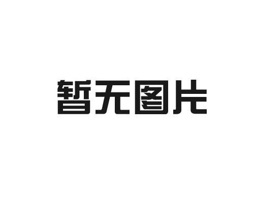 音叉物位開關(guān)